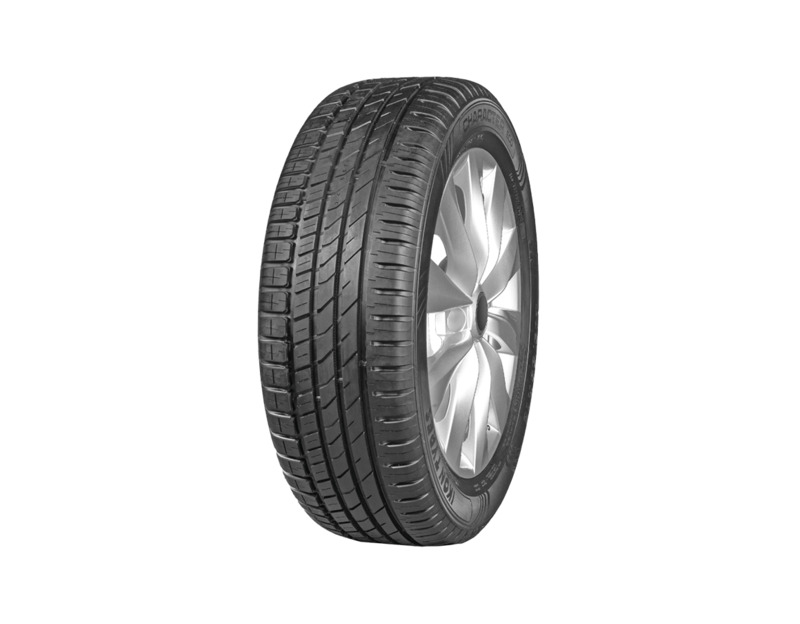 Ikon Character Eco 205/65R15 94H T743181 (T732330) 